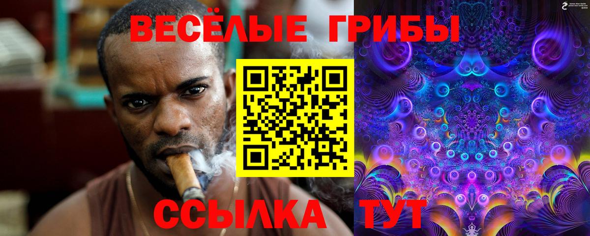 Меф кристаллы  Alpha PVP СК   Гашиш  Гусь-Хрустальный  Cocaine  Вход с VPN  МЕФ  Каннабис 