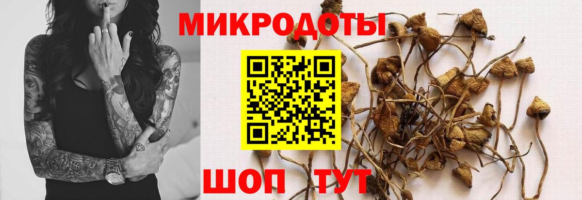 Псилоцибиновые грибы Psilocybe  Вход с VPN  дарнет шоп  Гусь-Хрустальный 